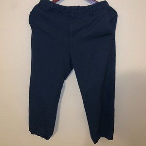 Zara Blue Semi-Formal Pants